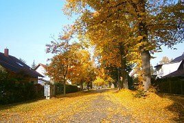 Preparing Your Backup Generator for Fall and Winter Weather