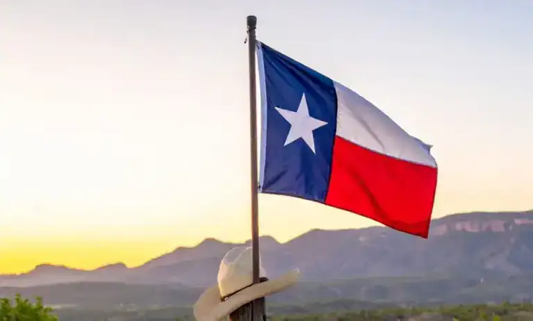 The Texas flag flying in front of the American flag against a blue sky
